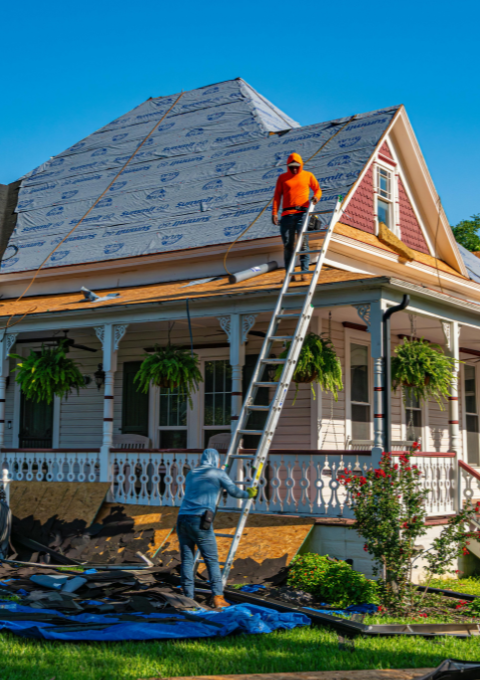 Roof Replacement